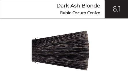 tinte-isb-dark-ash-blonde-movil